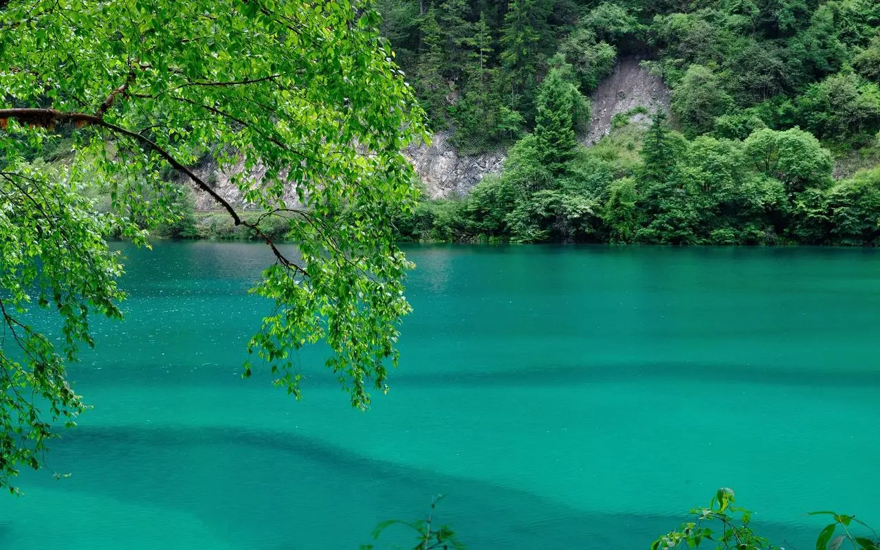 高端智能高性能